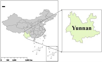 Intrahousehold empowerment gaps and dietary diversity in China